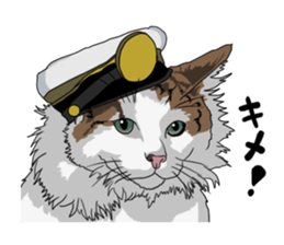 Free life cats part2 =Dog and Cat life= sticker #7112036