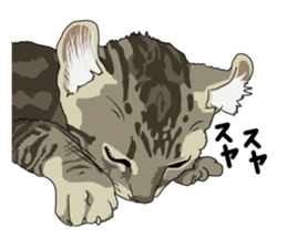 Free life cats part2 =Dog and Cat life= sticker #7112037