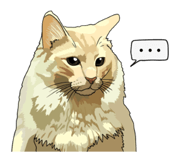 Free life cats part2 =Dog and Cat life= sticker #7112039