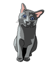 Free life cats part2 =Dog and Cat life= sticker #7112041