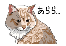 Free life cats part2 =Dog and Cat life= sticker #7112043