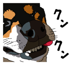 Free life cats part2 =Dog and Cat life= sticker #7112044