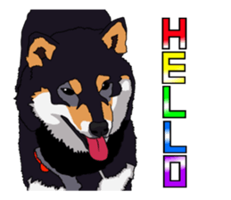 Free life cats part2 =Dog and Cat life= sticker #7112045