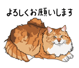 Free life cats part2 =Dog and Cat life= sticker #7112047