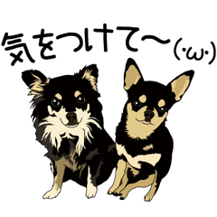 Chihuahua Coco & Louis and Friends vol.2