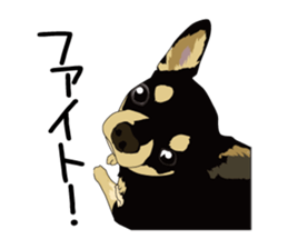 Chihuahua Coco & Louis and Friends vol.2 sticker #7112328