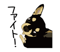 Chihuahua Coco & Louis and Friends vol.2 sticker #7112328