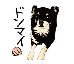 Chihuahua Coco & Louis and Friends vol.2 sticker #7112329