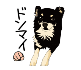 Chihuahua Coco & Louis and Friends vol.2 sticker #7112329