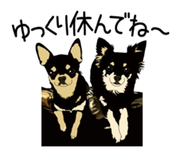 Chihuahua Coco & Louis and Friends vol.2 sticker #7112330