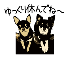 Chihuahua Coco & Louis and Friends vol.2 sticker #7112330