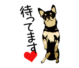 Chihuahua Coco & Louis and Friends vol.2 sticker #7112331