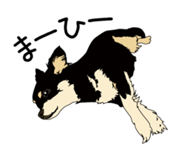 Chihuahua Coco & Louis and Friends vol.2 sticker #7112332