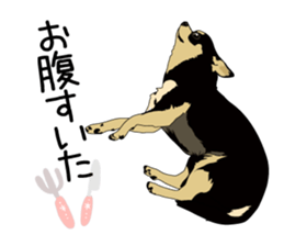 Chihuahua Coco & Louis and Friends vol.2 sticker #7112334