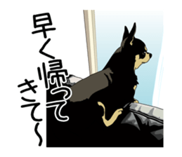 Chihuahua Coco & Louis and Friends vol.2 sticker #7112336