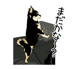 Chihuahua Coco & Louis and Friends vol.2 sticker #7112337