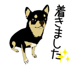 Chihuahua Coco & Louis and Friends vol.2 sticker #7112338