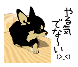 Chihuahua Coco & Louis and Friends vol.2 sticker #7112339