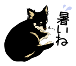 Chihuahua Coco & Louis and Friends vol.2 sticker #7112340