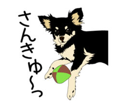 Chihuahua Coco & Louis and Friends vol.2 sticker #7112341