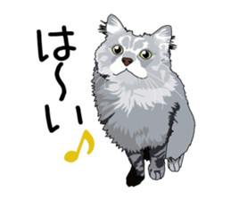 Chihuahua Coco & Louis and Friends vol.2 sticker #7112343