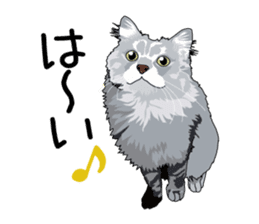 Chihuahua Coco & Louis and Friends vol.2 sticker #7112343