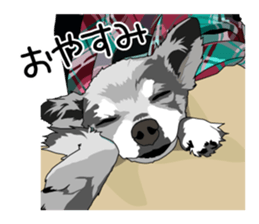 Chihuahua Coco & Louis and Friends vol.2 sticker #7112344