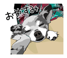 Chihuahua Coco & Louis and Friends vol.2 sticker #7112344