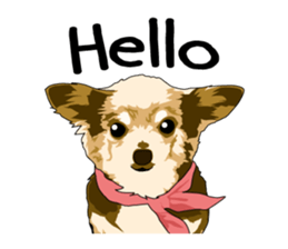 Chihuahua Coco & Louis and Friends vol.2 sticker #7112345