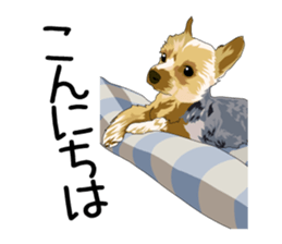 Chihuahua Coco & Louis and Friends vol.2 sticker #7112348