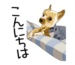 Chihuahua Coco & Louis and Friends vol.2 sticker #7112348