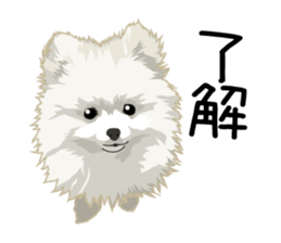 Chihuahua Coco & Louis and Friends vol.2 sticker #7112352