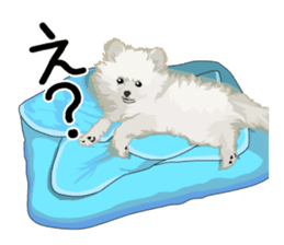 Chihuahua Coco & Louis and Friends vol.2 sticker #7112353