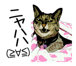 Chihuahua Coco & Louis and Friends vol.2 sticker #7112354