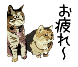 Chihuahua Coco & Louis and Friends vol.2 sticker #7112355