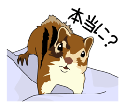 Chihuahua Coco & Louis and Friends vol.2 sticker #7112358