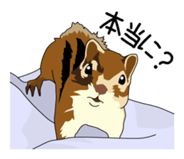 Chihuahua Coco & Louis and Friends vol.2 sticker #7112358