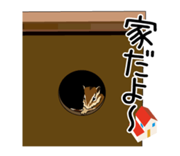 Chihuahua Coco & Louis and Friends vol.2 sticker #7112359