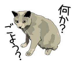 Chihuahua Coco & Louis and Friends vol.2 sticker #7112360