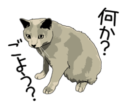 Chihuahua Coco & Louis and Friends vol.2 sticker #7112360