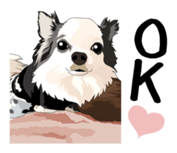 Chihuahua Coco & Louis and Friends vol.2 sticker #7112366