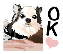 Chihuahua Coco & Louis and Friends vol.2 sticker #7112366
