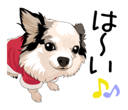 Chihuahua Coco & Louis and Friends vol.2 sticker #7112367