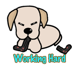 Labrador Bi II sticker #7115632