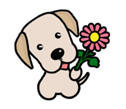 Labrador Bi II sticker #7115639