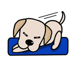 Labrador Bi II sticker #7115649