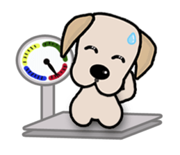 Labrador Bi II sticker #7115655