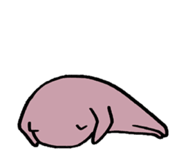 Meow I am Not a Cat 1 sticker #7117159