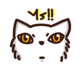 the crazy cat sticker #7119632