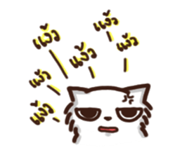 the crazy cat sticker #7119640